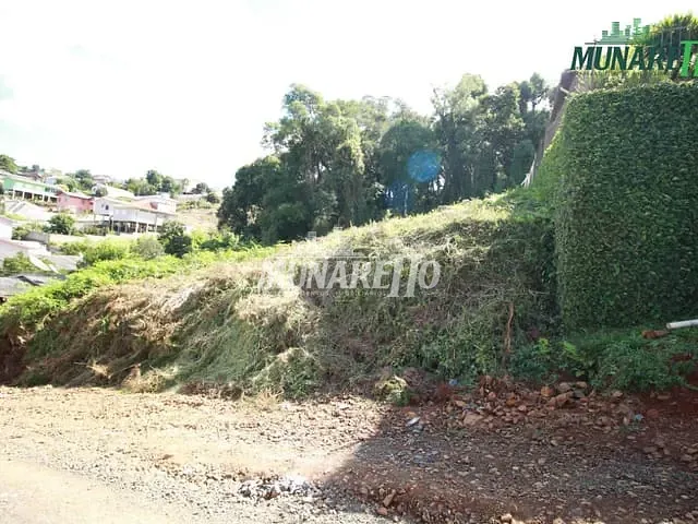 Terreno com 404m², à venda, no bairro Vista Alegre em Concórdia