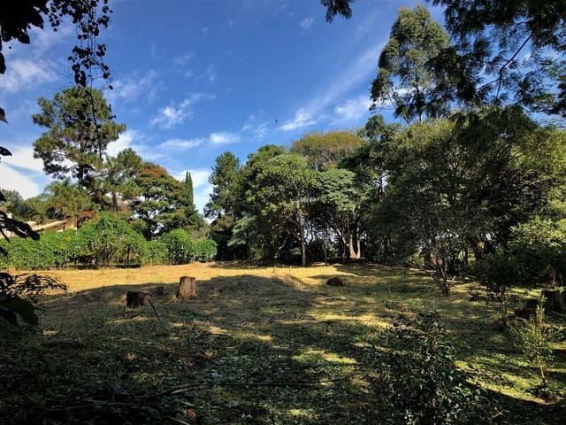 Terreno com 2282m², à venda, no bairro Parque Silvino Pereira em Cotia