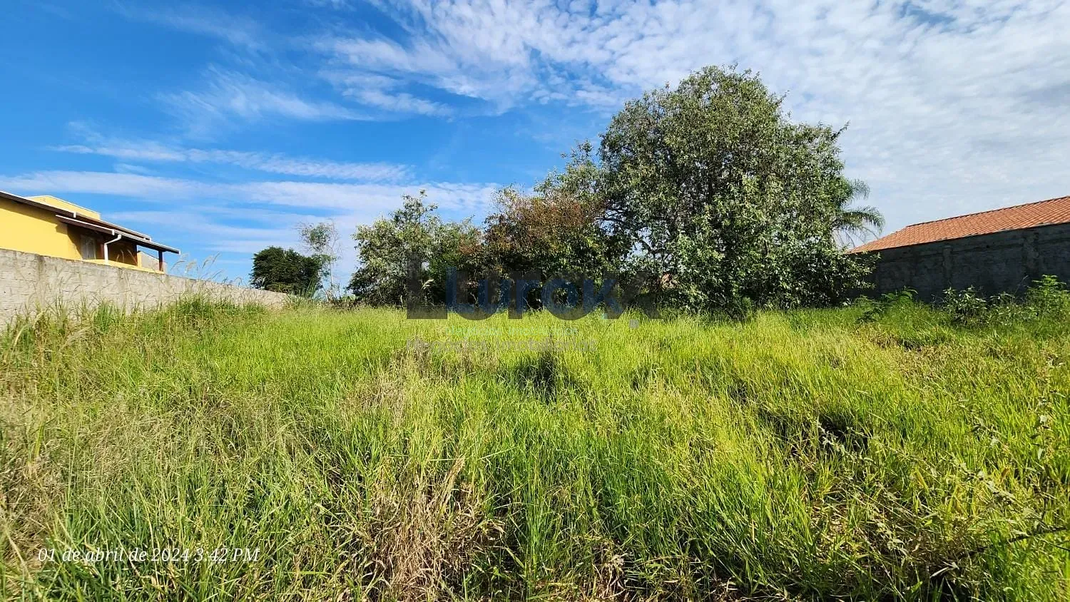 Terreno, 1250 m² - Foto 5