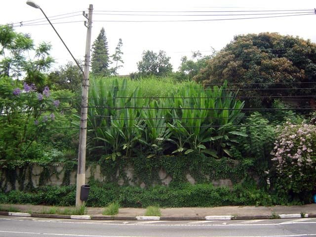 Terreno com 760m², à venda, no bairro Morumbi em São Paulo