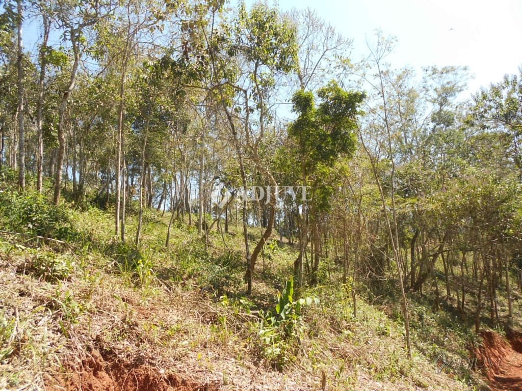 Terreno à venda, 1000m² - Foto 5