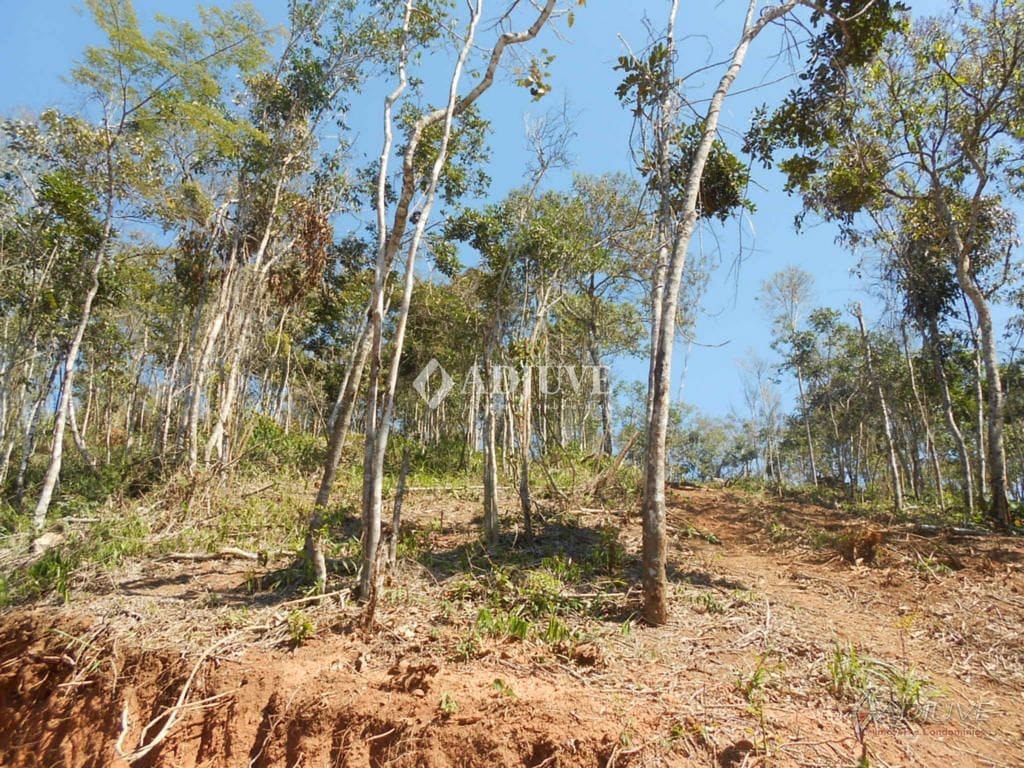 Terreno à venda, 1000m² - Foto 1