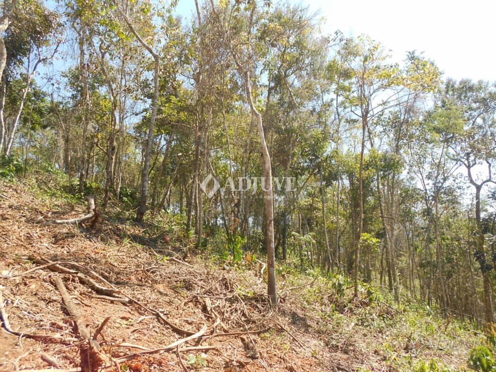 Terreno à venda, 1000m² - Foto 2