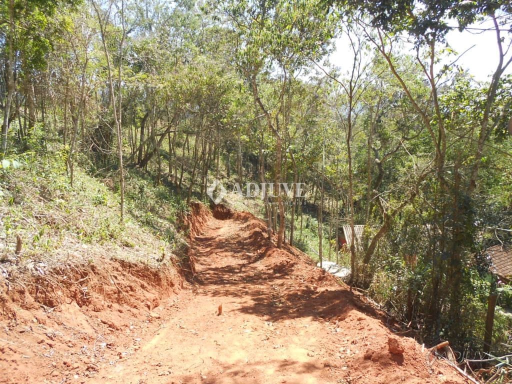 Terreno à venda, 1000m² - Foto 4