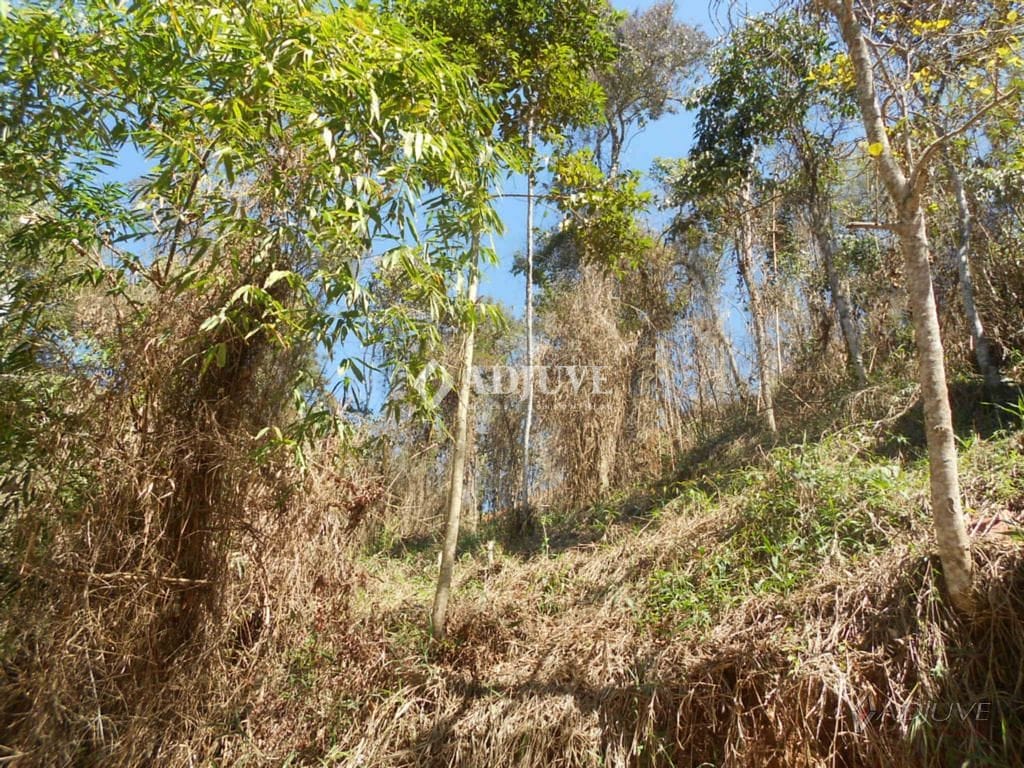 Terreno à venda, 1000m² - Foto 6
