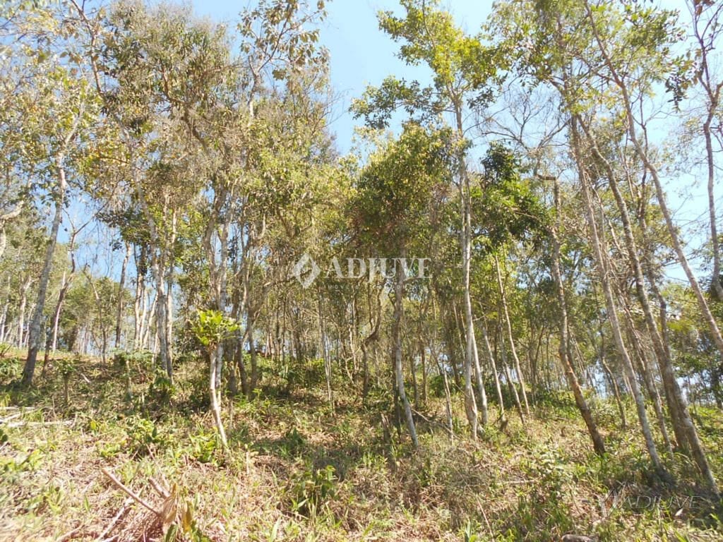 Terreno à venda, 1000m² - Foto 3