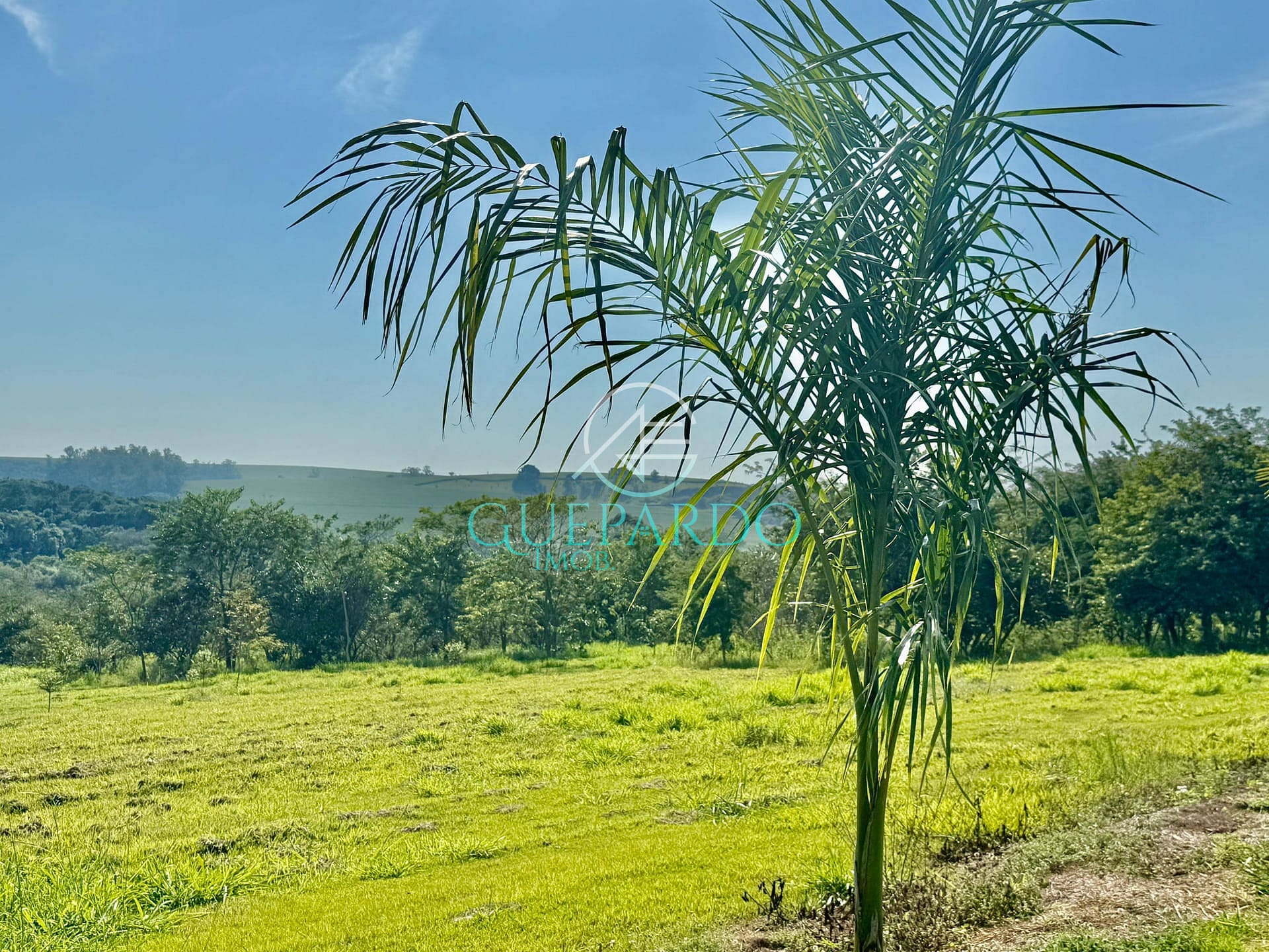 Terreno à venda, 2046m² - Foto 14