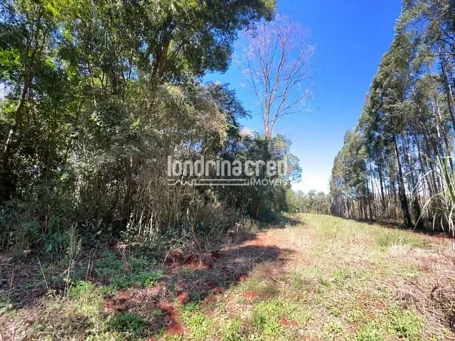 Terreno com 65000m², à venda, no bairro Vila Yolanda em Foz Do Iguaçu