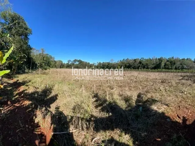 Terreno com 65000m², à venda, no bairro Vila Yolanda em Foz Do Iguaçu