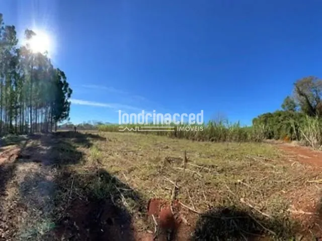 Terreno com 65000m², à venda, no bairro Vila Yolanda em Foz Do Iguaçu