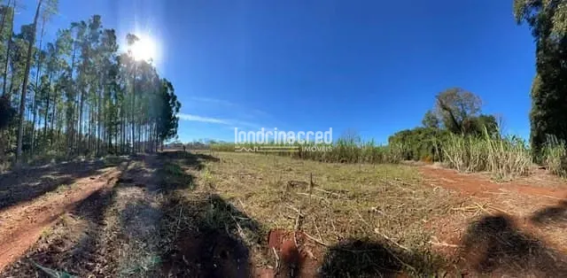 Terreno, 7 hectares - Foto 4