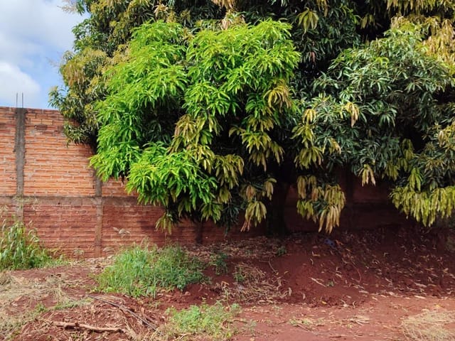 Terreno com 263m², à venda, no bairro Jardim Vitória em Cambé