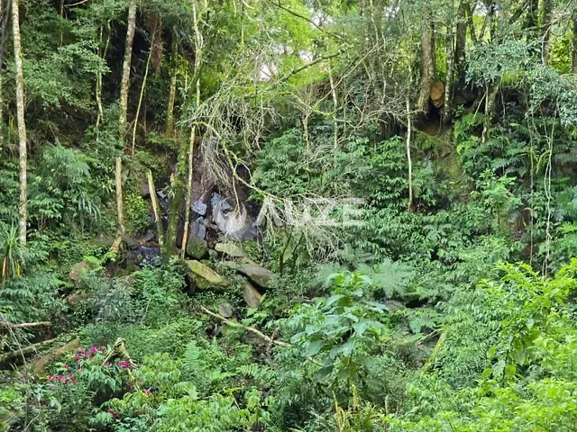 Terreno com 10m², à venda, no bairro Tanguá em Almirante Tamandaré