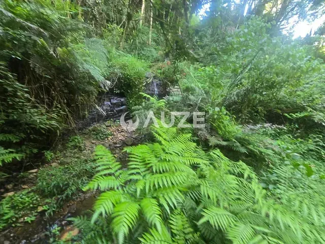 Terreno com 10m², à venda, no bairro Tanguá em Almirante Tamandaré