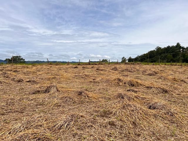 Terreno com 875m², à venda, no bairro Pista em Cambuí