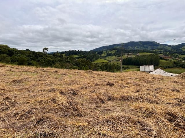 Terreno com 875m², à venda, no bairro Pista em Cambuí