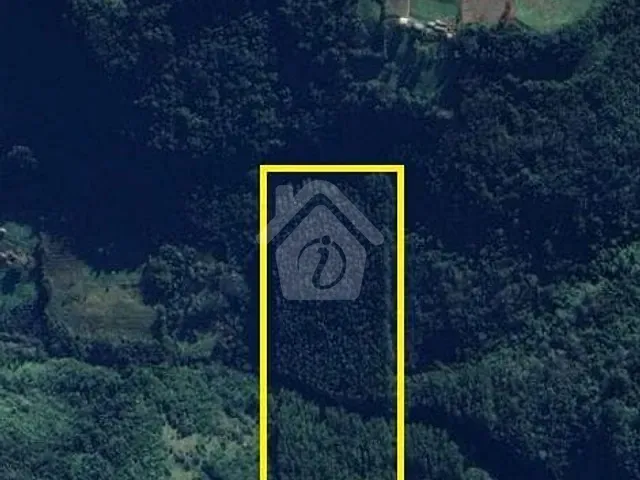 Terreno com 160000m², à venda, no bairro CRUZEIRO em Imigrante