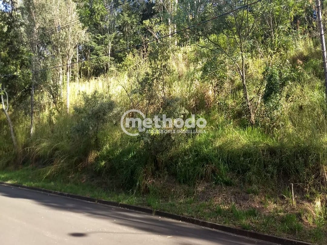 Terreno, 1400 m² - Foto 3