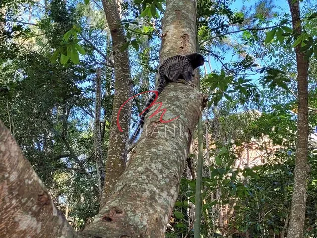 Terreno com 500m², à venda, no bairro Quinta dos Angicos em Cotia