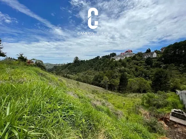 Terreno com 2507m², à venda, no bairro Alto do Capivari em Campos Do Jordão