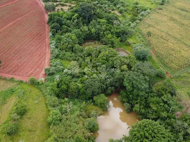 Sítio com 85171m², à venda, no bairro Chácara São José em Jaguariúna