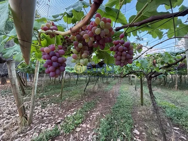 Terreno com 24136m², à venda, no bairro Sítios de Recreio Encontro das Águas em Hidrolândia