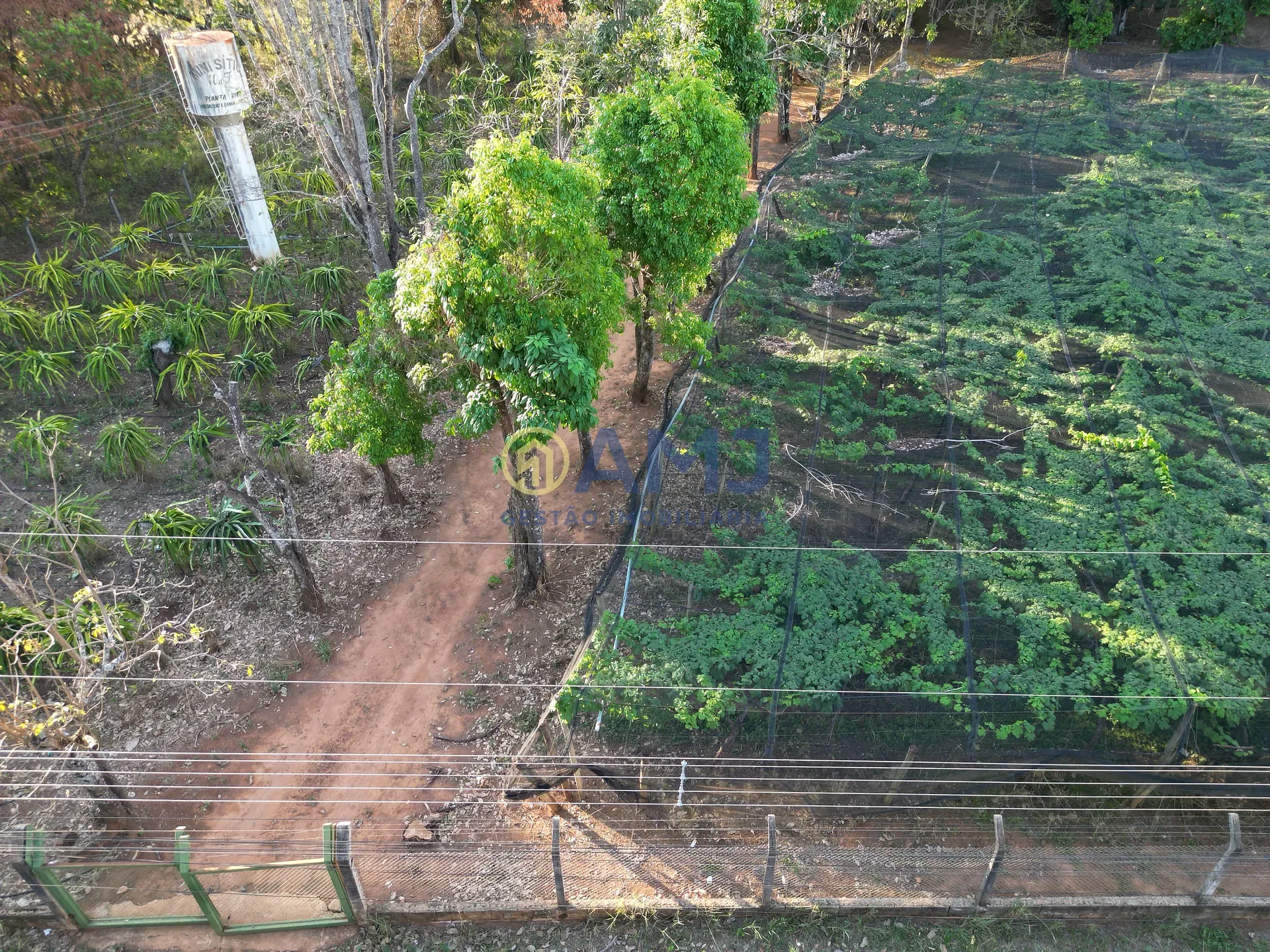 Terreno, 2 hectares - Foto 38