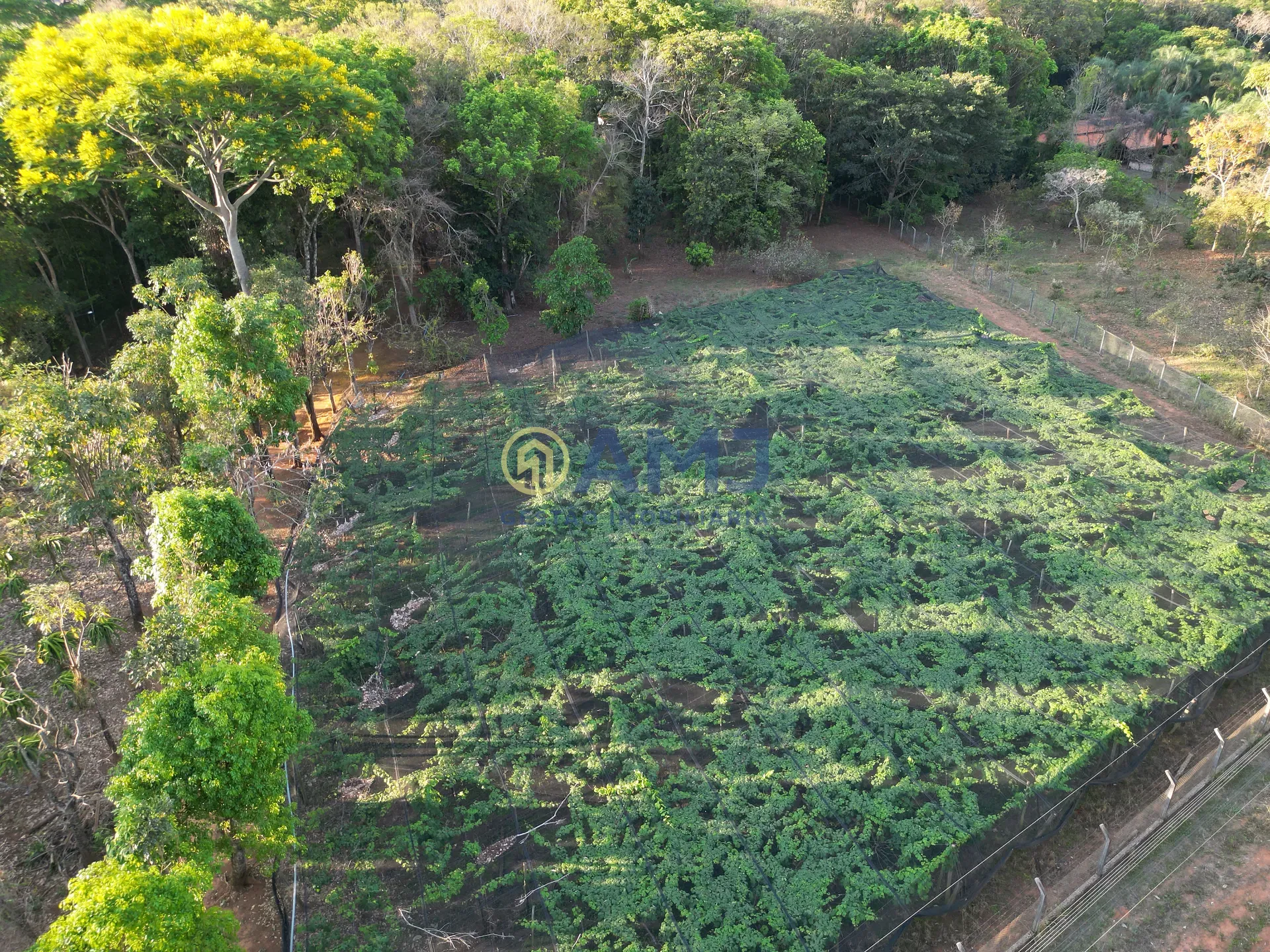 Terreno, 2 hectares - Foto 34
