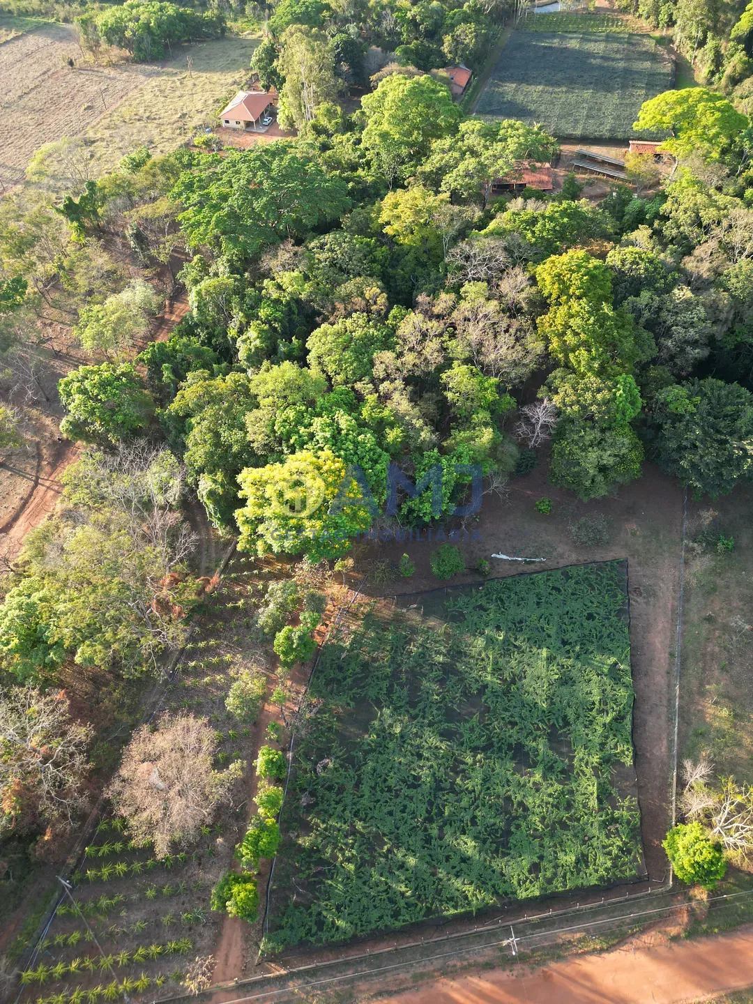 Terreno, 2 hectares - Foto 11