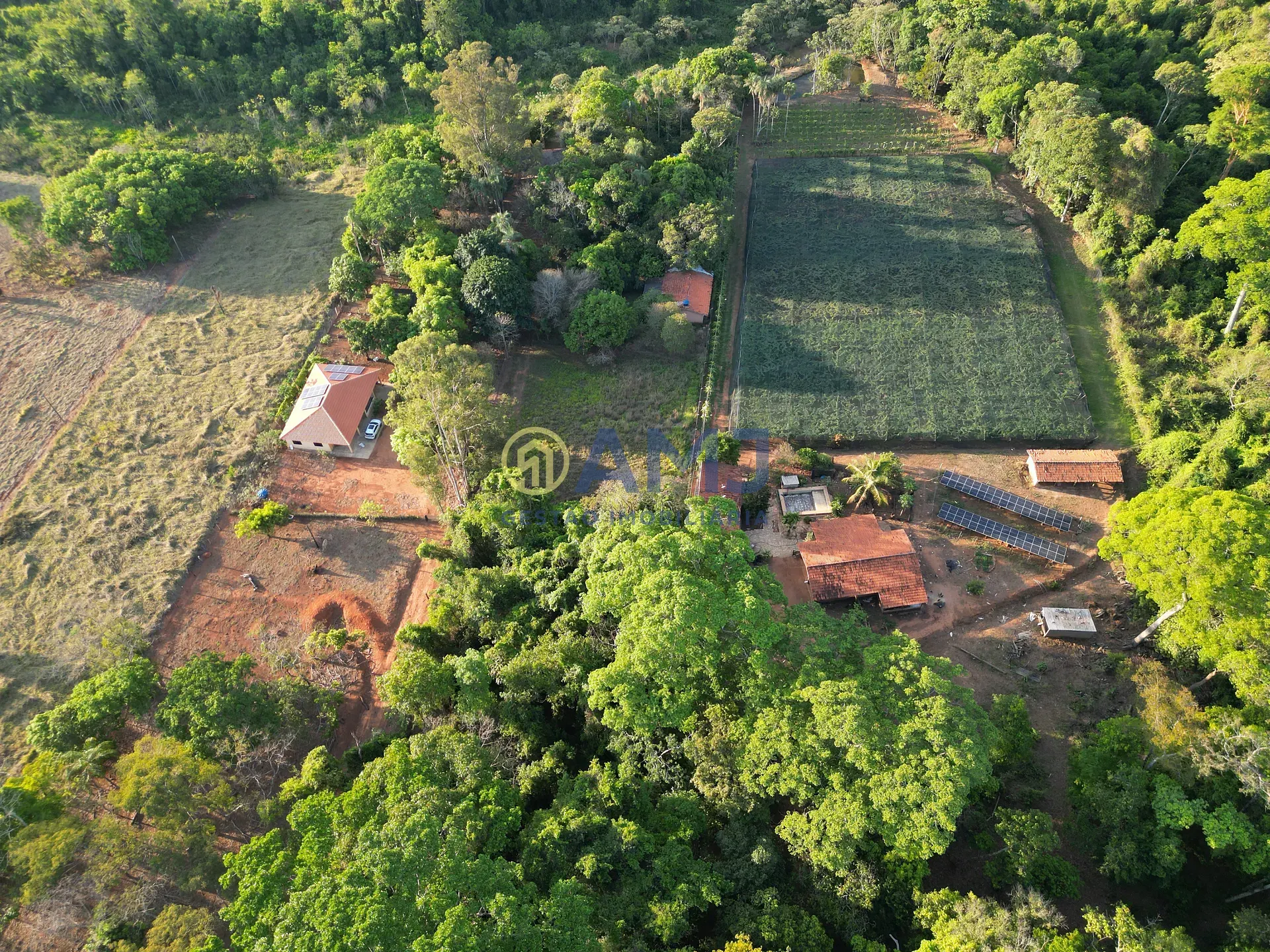 Terreno, 2 hectares - Foto 39
