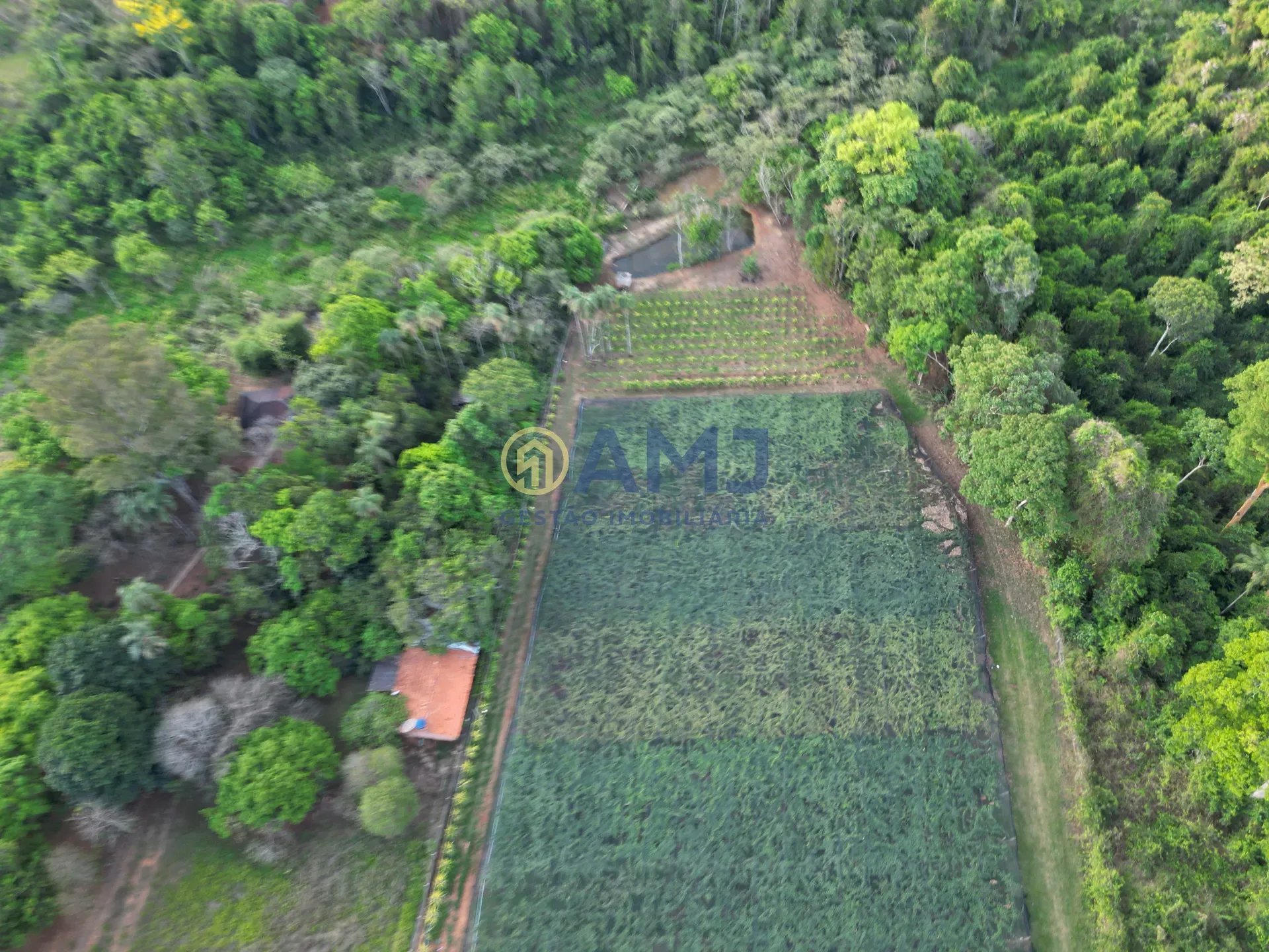 Terreno, 2 hectares - Foto 35