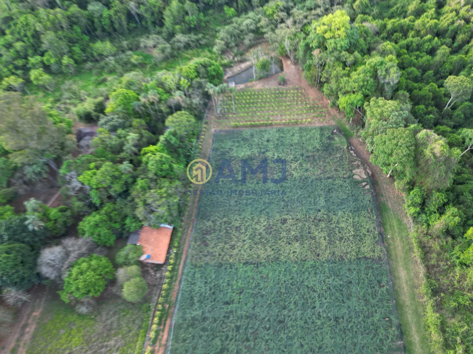 Terreno, 2 hectares - Foto 12