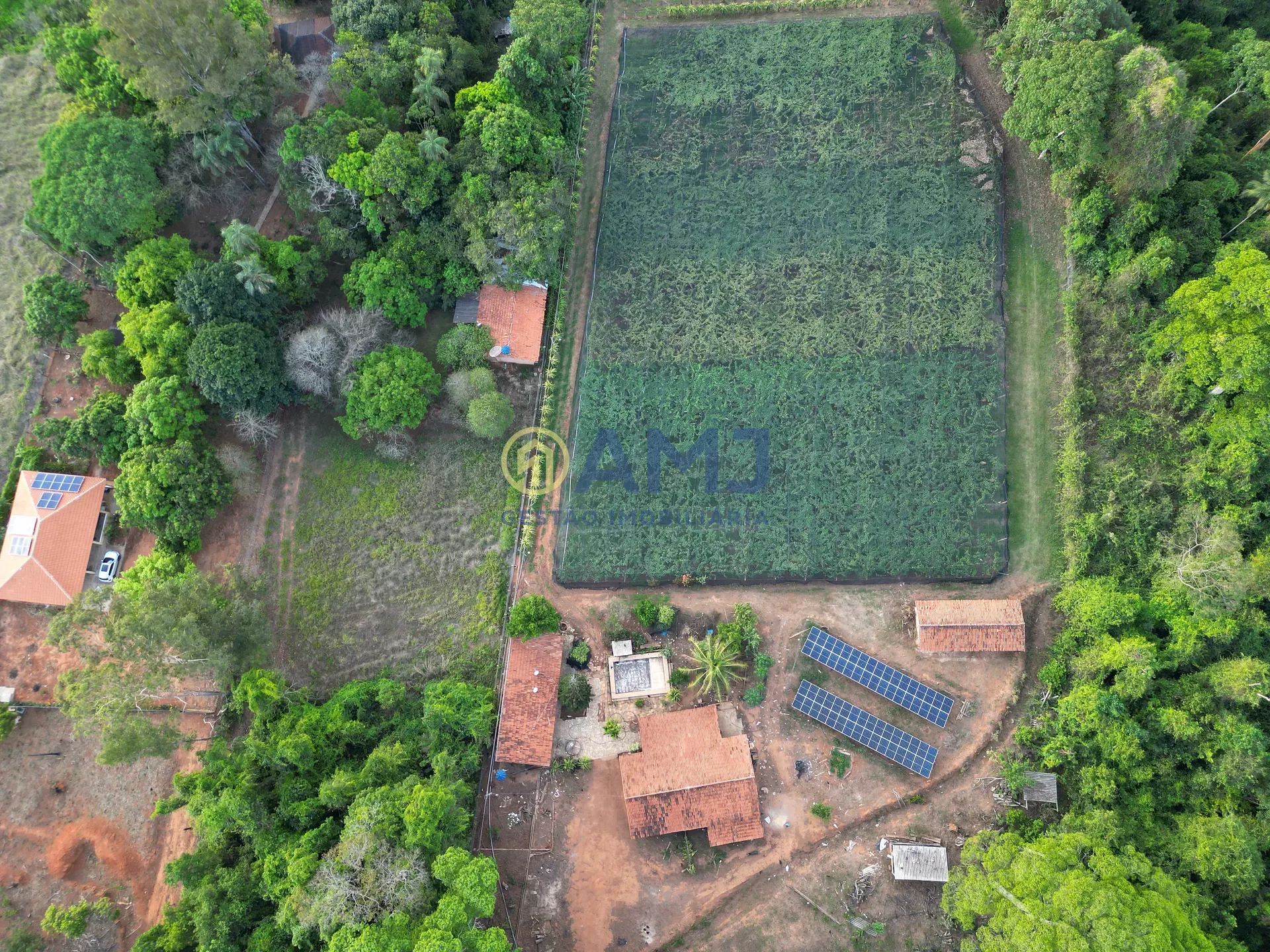 Terreno, 2 hectares - Foto 13