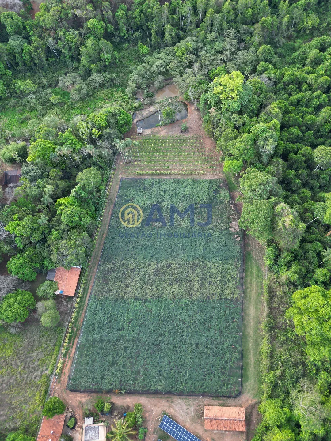 Terreno, 2 hectares - Foto 10