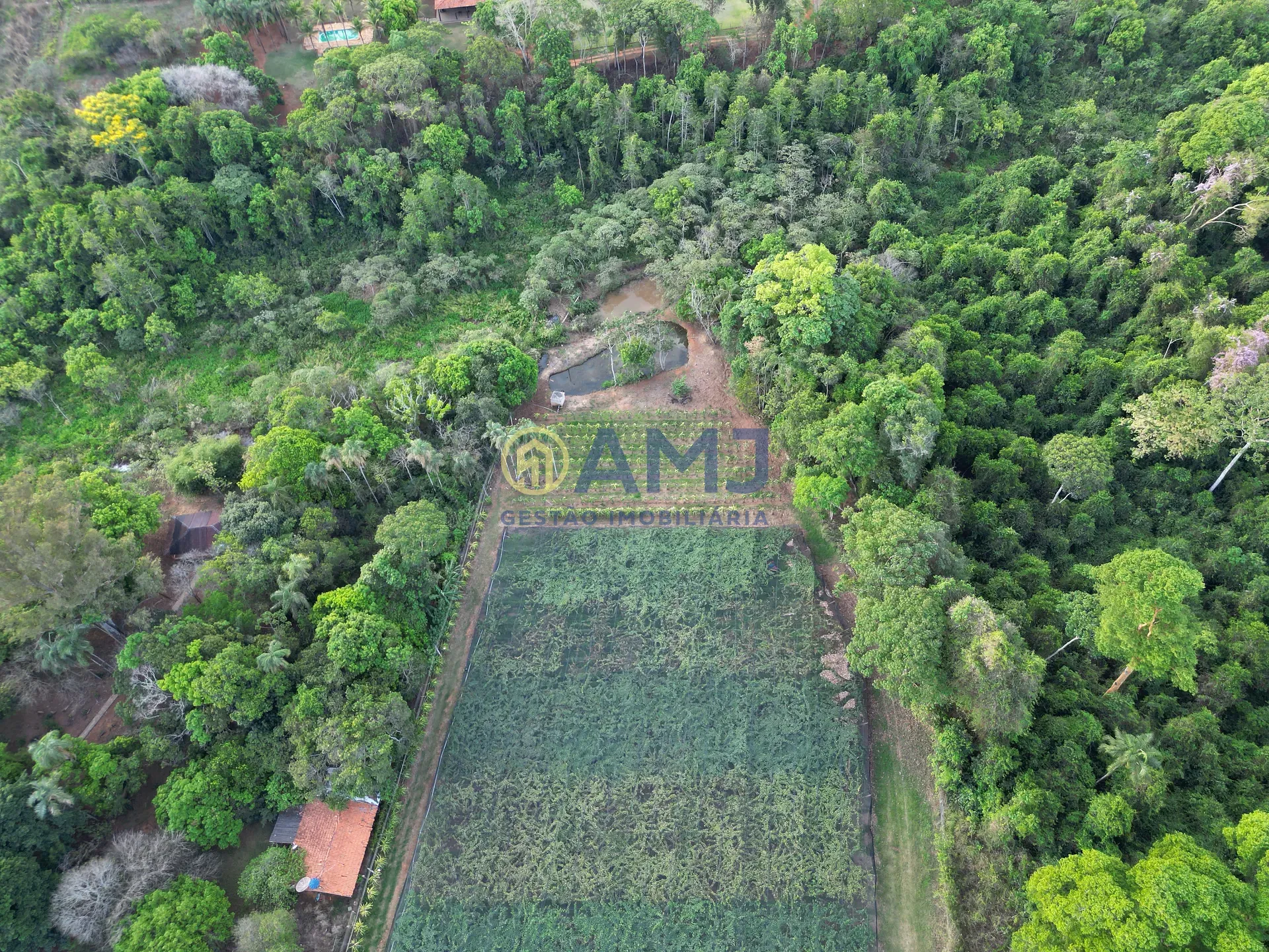 Terreno, 2 hectares - Foto 2
