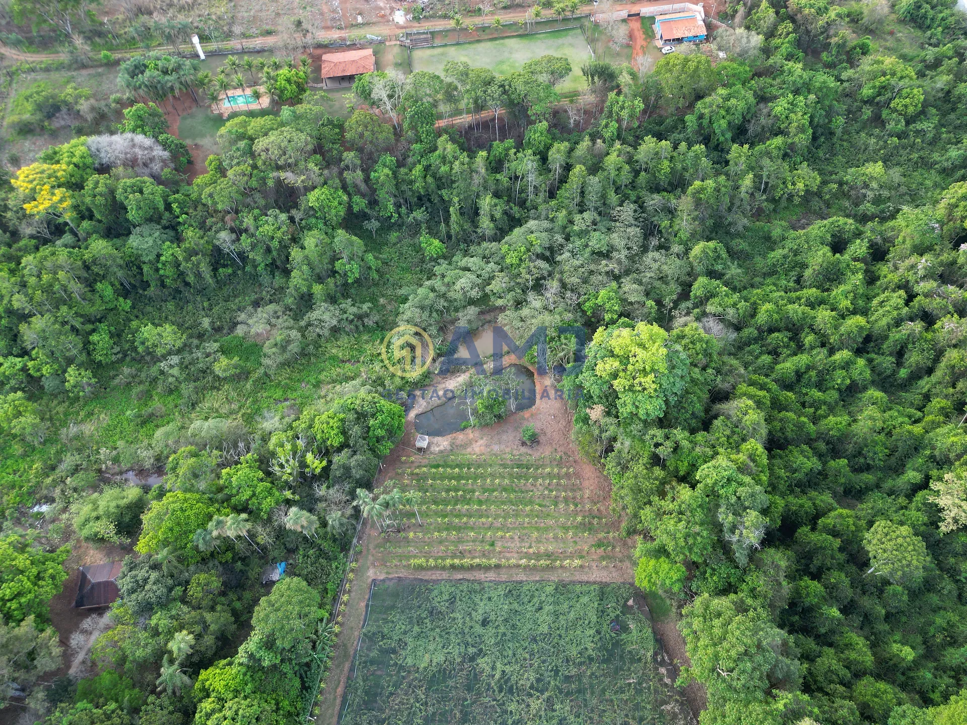 Terreno, 2 hectares - Foto 15