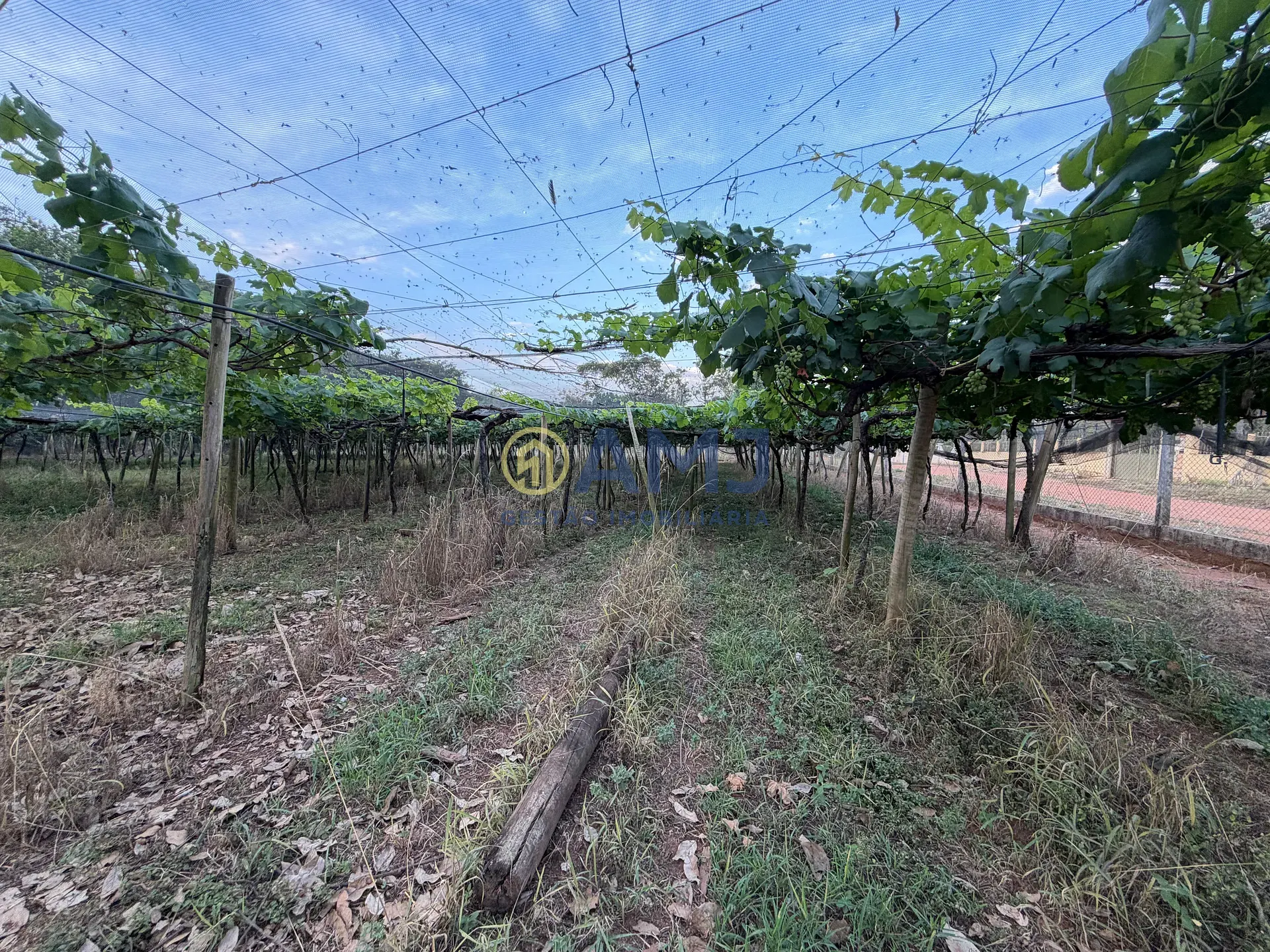 Terreno, 2 hectares - Foto 32