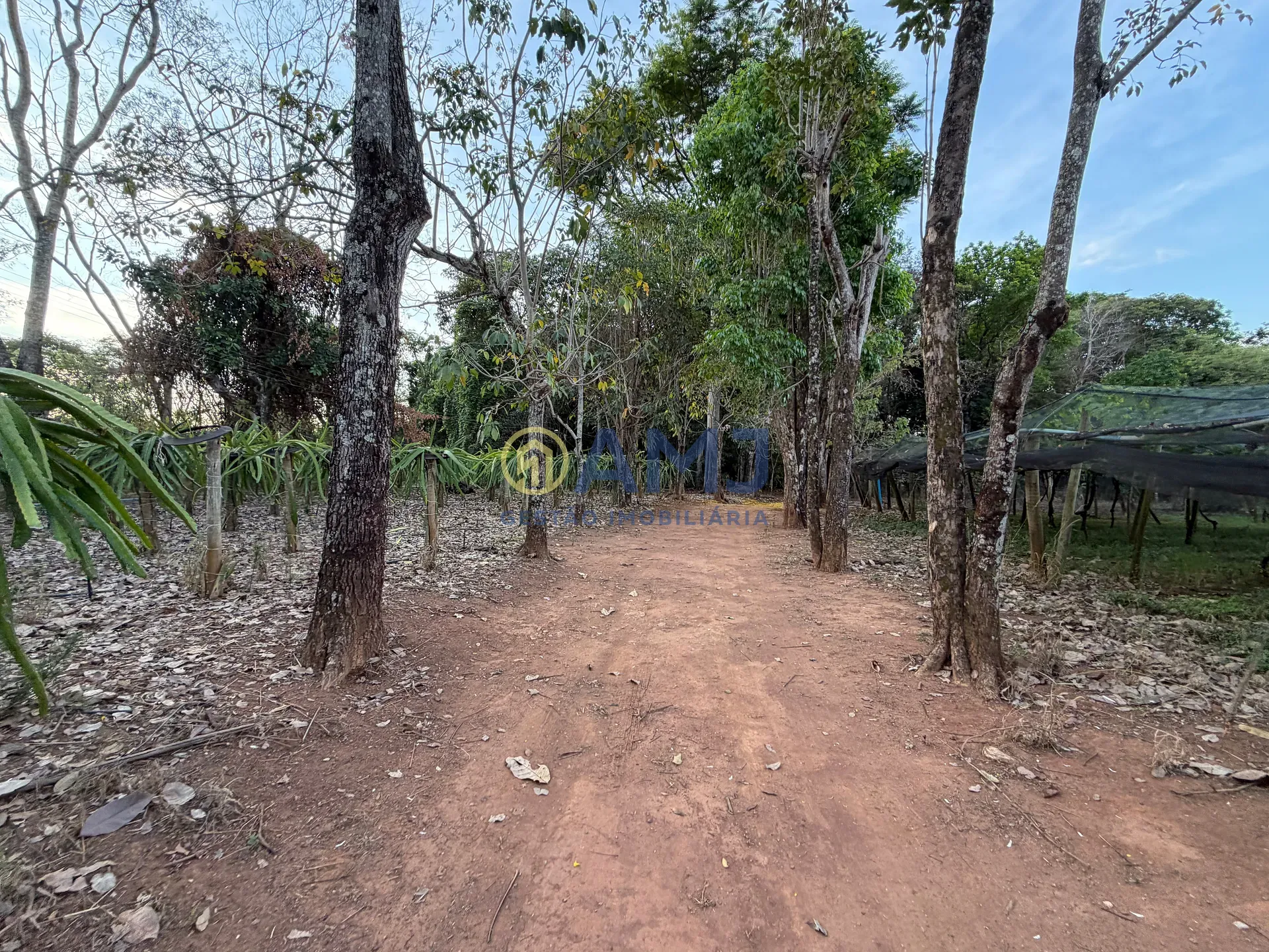 Terreno, 2 hectares - Foto 31