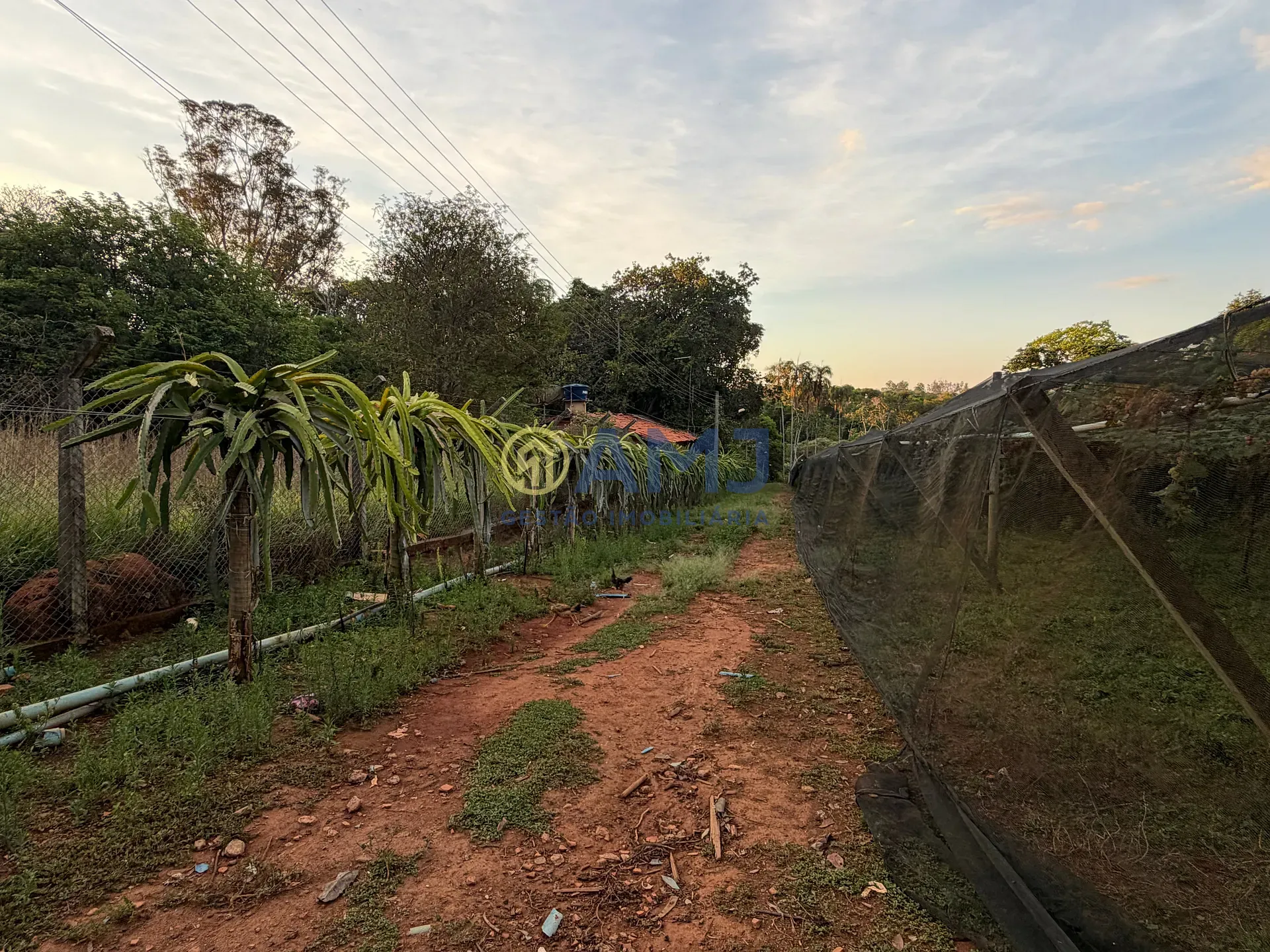 Terreno, 2 hectares - Foto 25