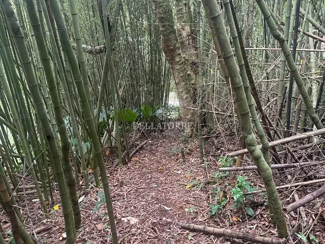 Terreno com 450m², à venda, no bairro Panorama em Teresópolis