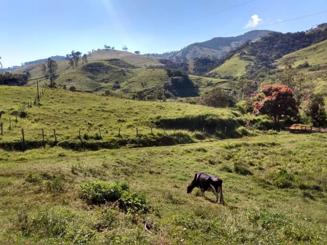 Foto do Terreno - Terreno à venda 70000M², Centro, Wenceslau Braz - MG | MOHALLEM e LOPES CORRETAGEM E ADMINISTRACAO DE IMOVEIS LTDA
