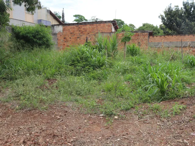 Terreno com 1000m², à venda, no bairro Paquetá em Belo Horizonte