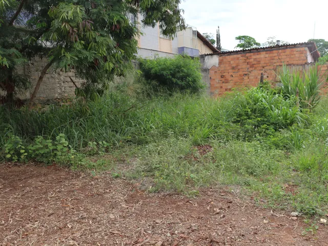 Terreno com 1000m², à venda, no bairro Paquetá em Belo Horizonte