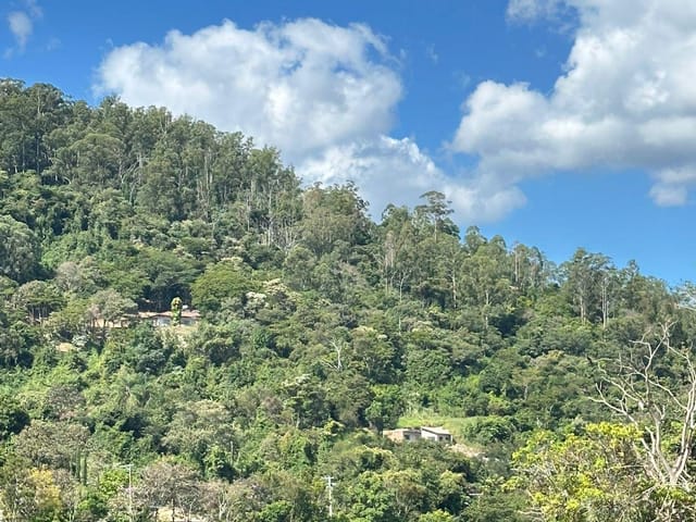 Terreno com 1000m², à venda, no bairro Jardim das Paineiras em Águas da Prata