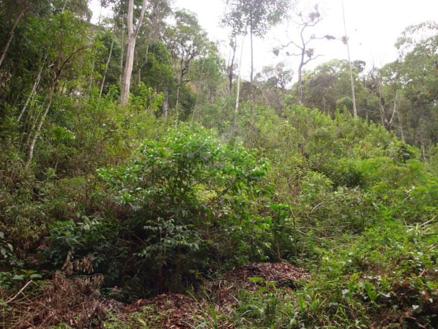 Terreno com 6926m², à venda, no bairro Corrêas em Petrópolis