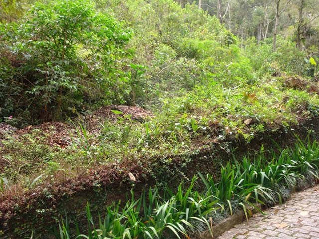 Terreno com 6926m², à venda, no bairro Corrêas em Petrópolis