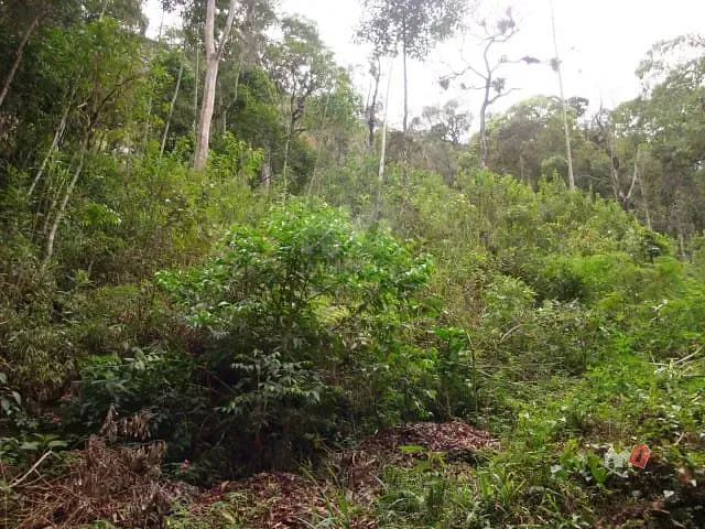 Terreno com 6926m², à venda, no bairro Corrêas em Petrópolis