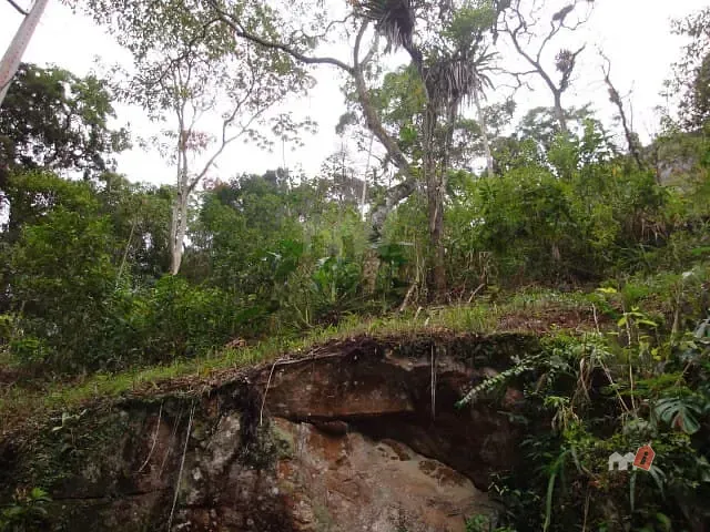 Terreno com 6926m², à venda, no bairro Corrêas em Petrópolis
