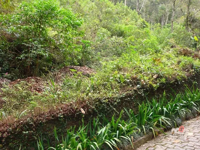 Terreno com 6926m², à venda, no bairro Corrêas em Petrópolis