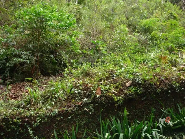 Terreno com 6926m², à venda, no bairro Corrêas em Petrópolis